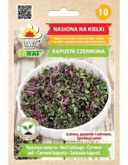 Kiełki 10g KAPUSTA CZERWONA | TF1468