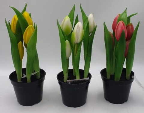 Kwiat w doniczce 24cm TULIPAN M93209